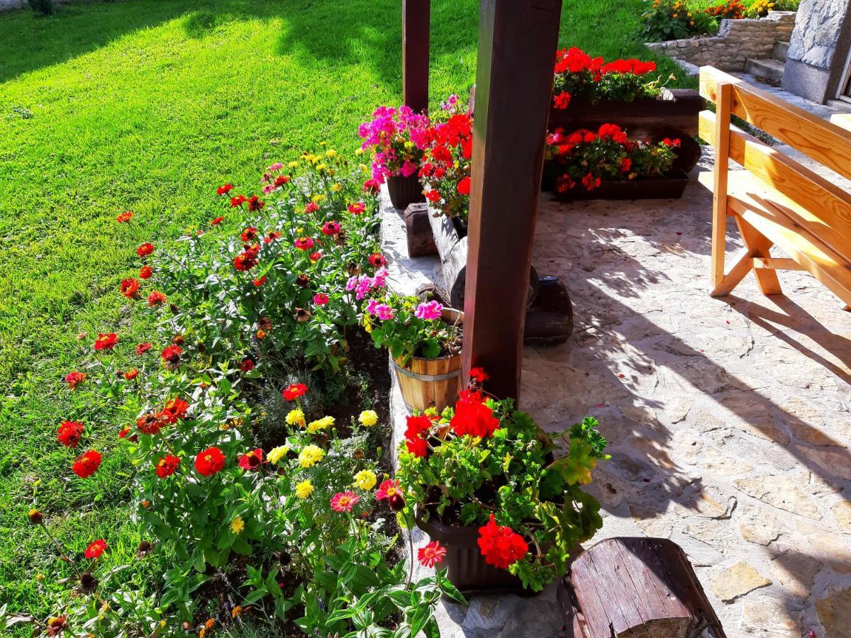 Peter'S Pine Cottage كورينيتسا المظهر الخارجي الصورة